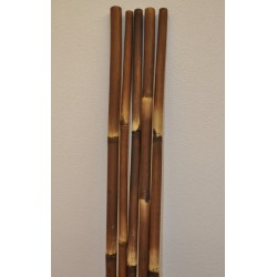 Bambusová tyč 5 - 6 cm,...