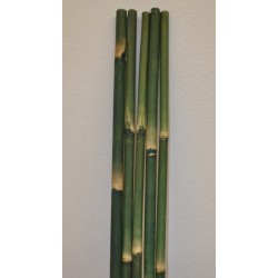Bambusová tyč 3 - 4 cm,...