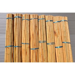 Bambusová tyč 3- 4 cm,...